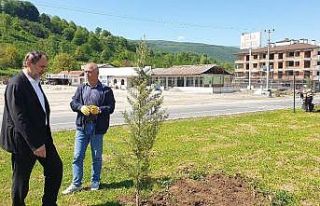 Başkan Şahin çalışmaları yerinde inceledi