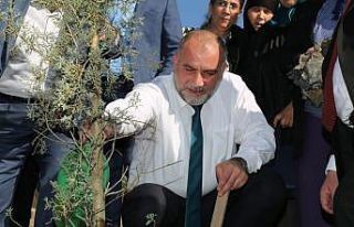 Başkan Sandıkçı’dan Canikli kadınlara bin fidan...