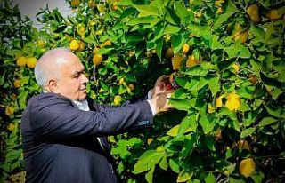 Başkan Tollu: “Çiftçilerimizin her zaman hizmetindeyiz”