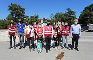 Başkan Tütüncü, sokak hayvanlarını unutmadı