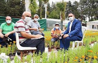 Başkan Yılmaz’dan annelere 100 bin kadife çiçeği