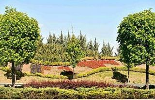 Başkent çiçeklerle güzelleşiyor