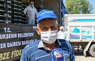 Başkentli üreticiye fide desteği başladı