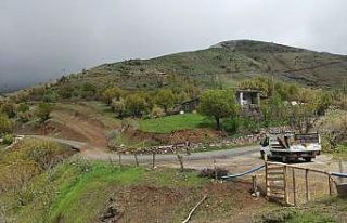 Batman’da 2 mezra korona virüs nedeniyle karantinaya...