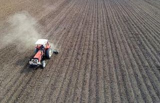Bayburt’ta kuru soğan demonstrasyon ekimi yapıldı