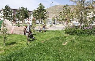 Bayburt’ta park ve refüjlerde çim biçme çalışması