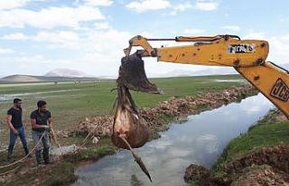 Beli kırılan inek iş makinesi ile kurtarıldı