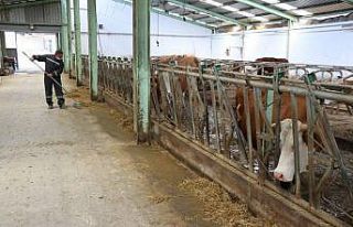 Besi ve süt üreticisi korona virüse rağmen talepleri...