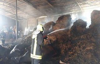 Besihanede çıkan yangında 4 hayvan telef oldu