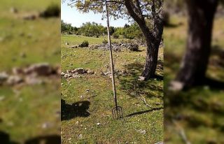 Beyşehir Gölünde yasa dışı avlanmaya 46 bin...