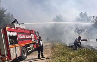Bilecik’te çıkan yangın ormana sıçramadan söndürüldü