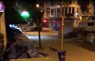 Bilecik’te sansar şaşkınlığı