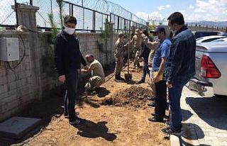 Bingöl’de fidan dikimi