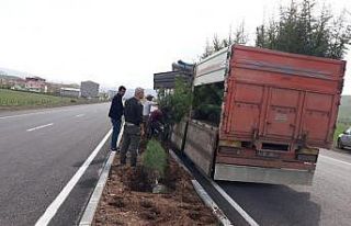 Bingöl’de yol boyu ağaçlandırma çalışması