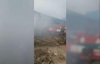 Biyokütle enerji santralinde yangın çıktı