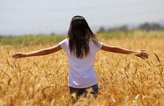 Buğday hasadı başladı, çiftçinin yüzü gülüyor
