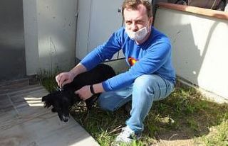 Burhaniye’de köpeklere aşı
