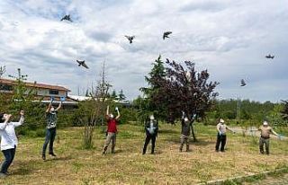 Bursa’da tedavileri tamamlanan 7 şahin 2 çakal...