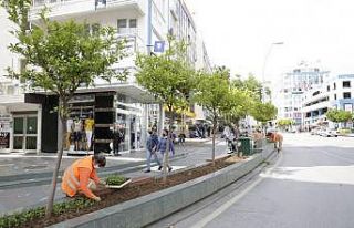 Büyükşehir Güllük Caddesi’ni 40 bin çiçekle...