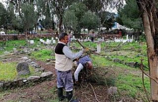 Büyükşehir mezarlıkları temizleniyor