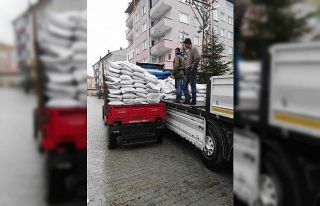 Çamoluk’ta organik tarım faaliyetleri için organik...