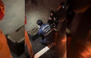 Çamura saplanan yavru köpekleri belediye kurtardı