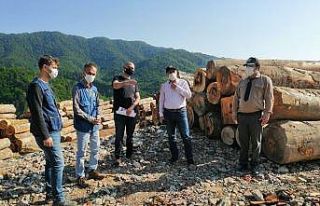 Çaylıoğlu orman dışı satış deposu kapasite...