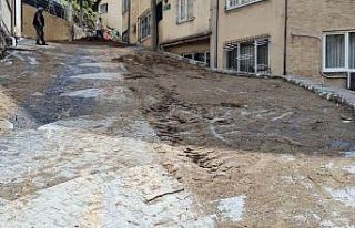 Çekirge sokakları yenileniyor