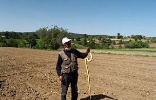 Çiftçi eliyle yakaladığı 1.5 metre uzunluğundaki...