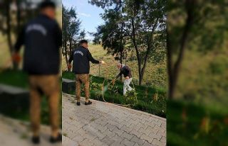 Çiğli parklarında çim ve bitkilere özel bakım
