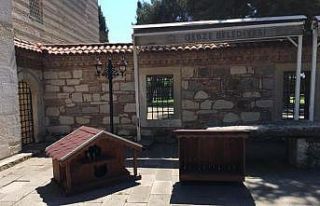 Çoban Mustafa Paşa Camii bahçesindeki yuvalar yenilendi