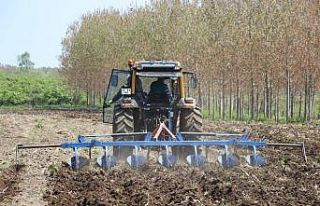 Çukurova’da tanıştı, Samsun’a getirdi