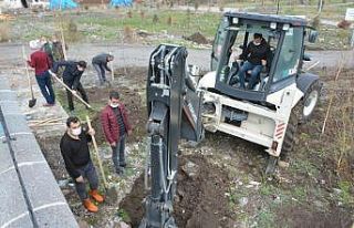 Daha yeşil bir Ardahan