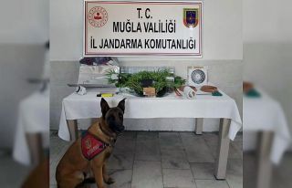 Dalyan’da uyuşturucu imalathanesine operasyon