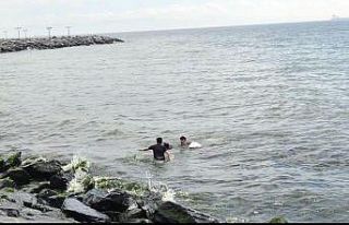 Denize atlayarak intihar girişiminde bulunan kadını...