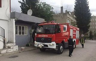 Devrilen ısıtıcı kuşların ölümüne neden oldu