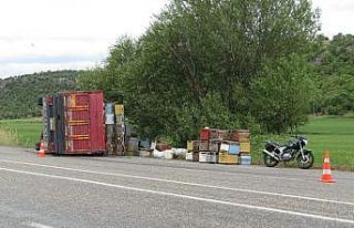 Devrilen kamyonetteki arılar karayolunu bastı