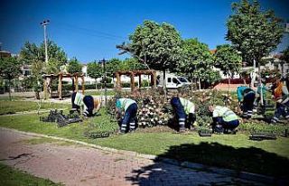 Didim’de parklarda yaza hazırlanıyor