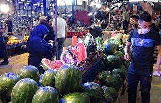 Dilim dilim karpuza büyük ilgi