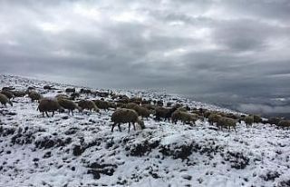 Doğu’da hava sıcaklığı geceleri eksiye düştü