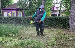 Efeler yaza hazırlanıyor