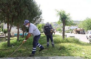 Efeler’de yeşil alanların bakımı devam ediyor