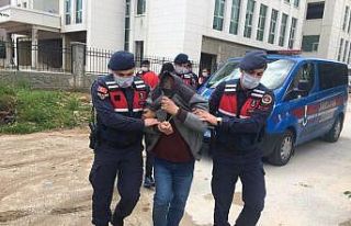 EFT üzerinden dolandırıcılık yapan çete üyesi...