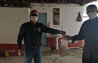 Ekmek götürdüğü yaşlılarla göbek atıp şarkı...