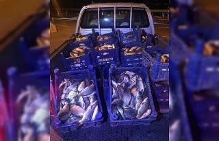 Elazığ’da 600 kilo kaçak balık avına 10 bin...