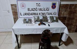 Elazığ’da uyuşturucu operasyonu:2 gözaltı