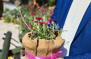 Endemik “Sevgi Çiçeği” koruma altına alındı