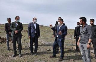 Erciş Belediyesinden meyve bahçesi