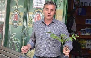 Erdek’te tarımın önemi ortaya çıktı