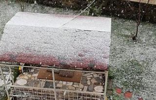 Erzurum’a Mayıs ayında kar yağdı